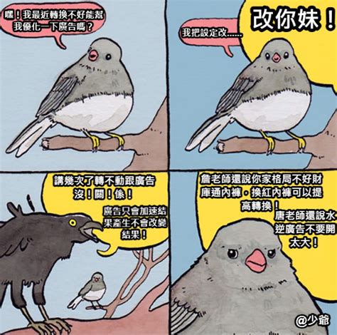 這是鳥嗎 梗圖|20張超好笑【這是什麼鳥】梗圖！快來看看網友們的搞笑創作！